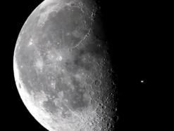 Самая удачная ставка 60-ых годов